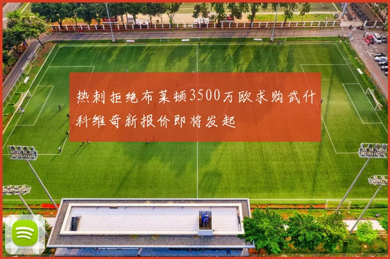 热刺拒绝布莱顿3500万欧求购武什科维奇新报价即将发起