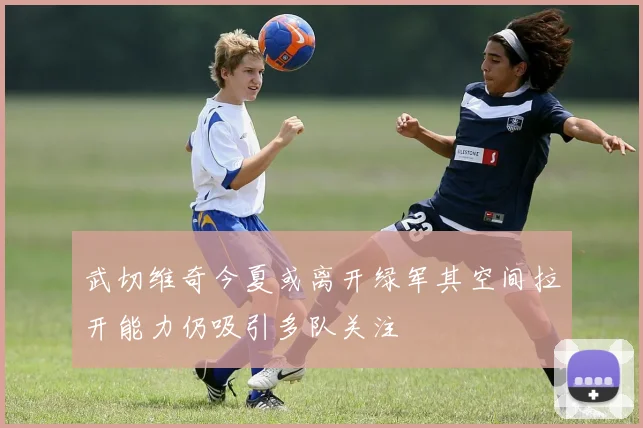 武切维奇今夏或离开绿军其空间拉开能力仍吸引多队关注