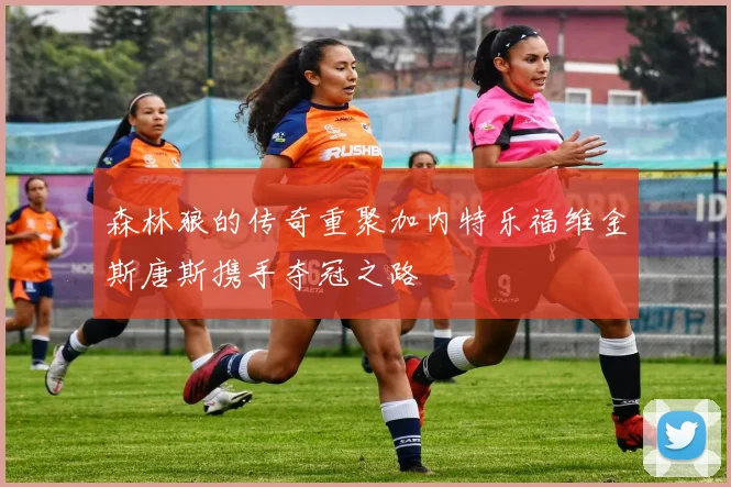 森林狼的传奇重聚加内特乐福维金斯唐斯携手夺冠之路