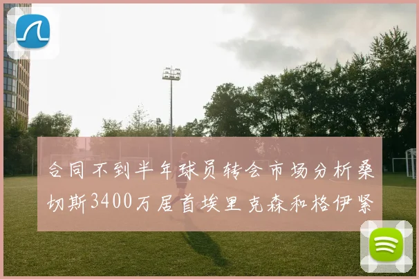 合同不到半年球员转会市场分析桑切斯3400万居首埃里克森和格伊紧随其后